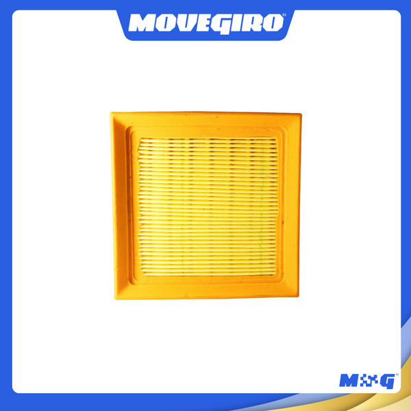 Filtro De Ar Xr 250 Tornado (2001) - 2051428