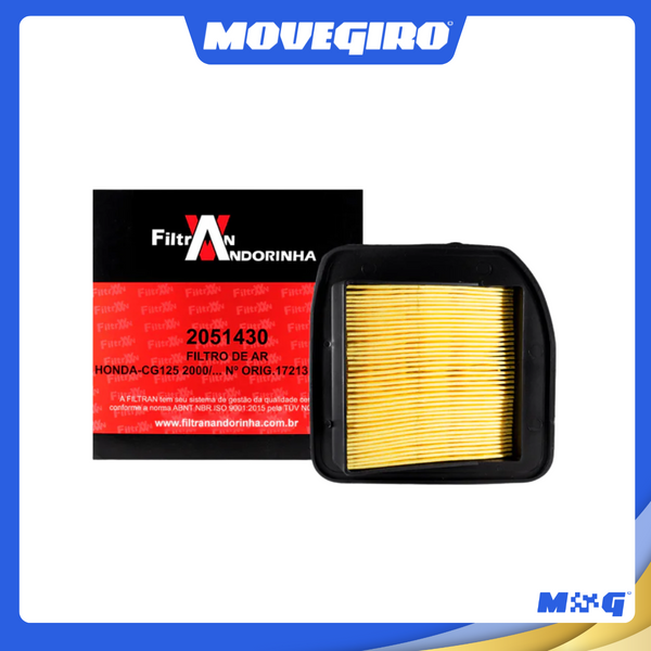 Filtro De Ar Honda CG Titan 125 (2000) - 2051430